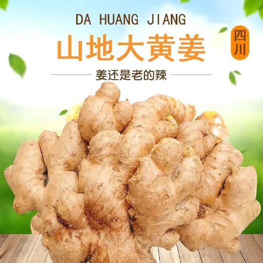 富宁县自产自销生姜