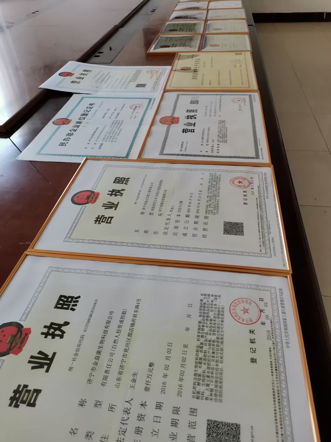 枯草芽孢杆菌粉菌剂菌肥菌种  喷施滴灌冲施 蔬菜瓜果种植专用