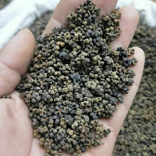 亳州中花吴茱萸中药材,吴茱萸,正品全国包邮,量大从优