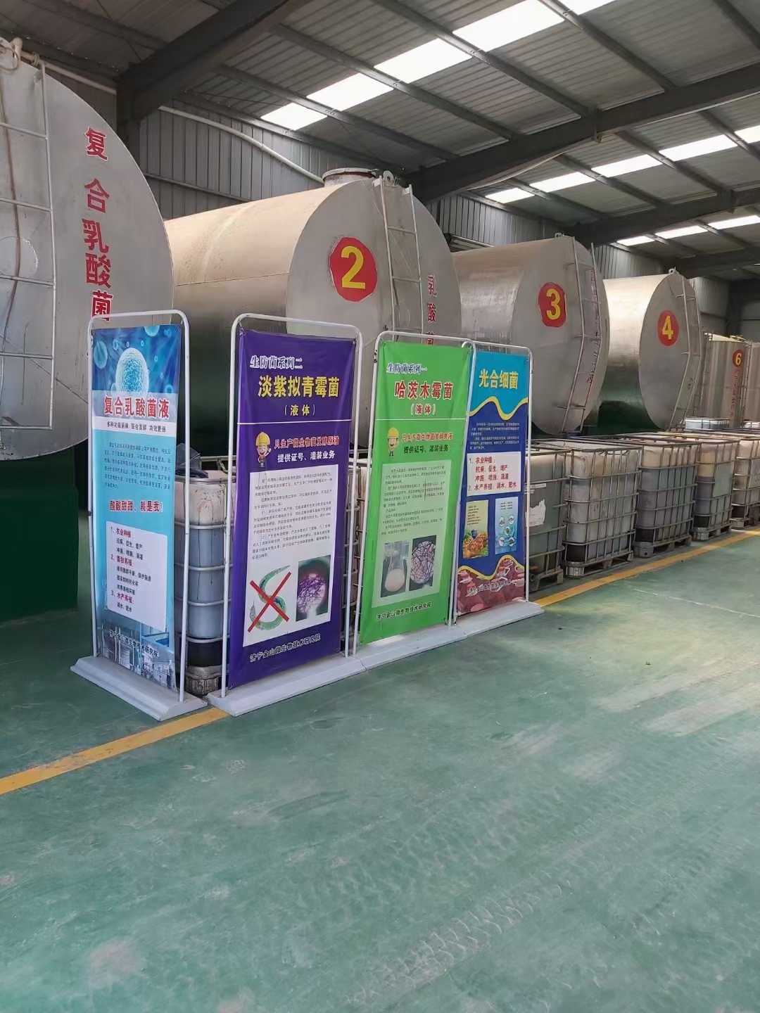 枯草芽孢杆菌粉菌剂菌肥菌种  喷施滴灌冲施 蔬菜瓜果种植专用