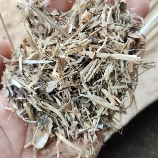泌阳县饲料燕麦草 羊 