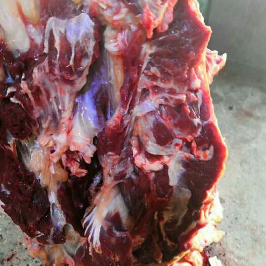 彰武县牛里脊  国产黄牛肉！鲜肉冻肉都有！手续齐全！质量保证