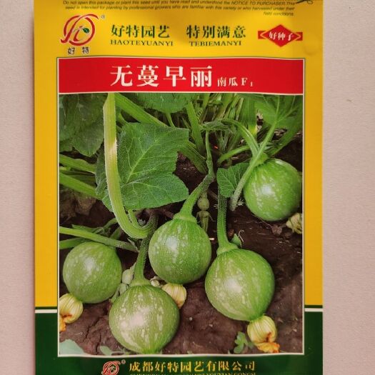 南昌无曼早丽南瓜种子，早熟短蔓型