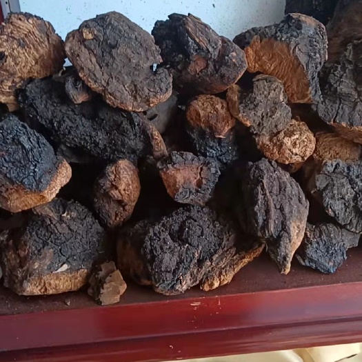 桦甸市 桦树茸