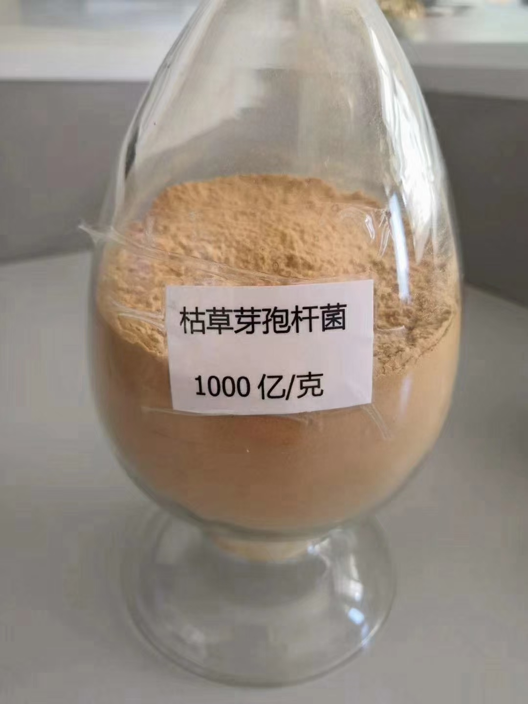 枯草芽孢杆菌粉菌剂菌肥菌种  喷施滴灌冲施 蔬菜瓜果种植专用