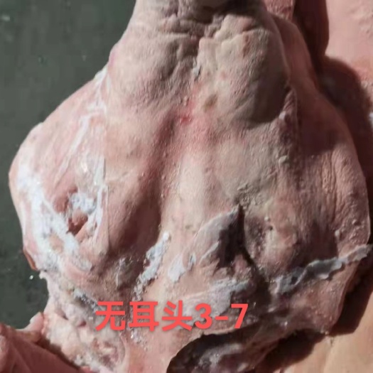 商丘猪头 3-7斤肥猪无耳头