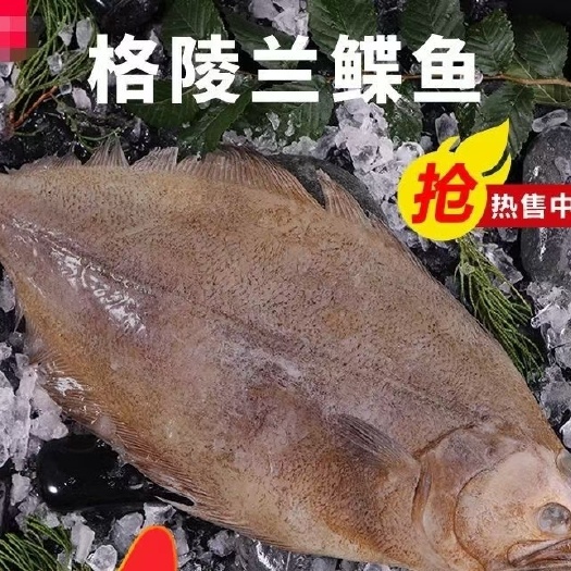 黄尾鲽鱼 格陵兰鲽鱼 比目鱼 5条起批