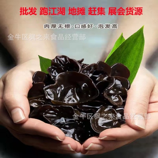 产地直批东北黑木耳批发跑江湖地摊展会集示货源批发
