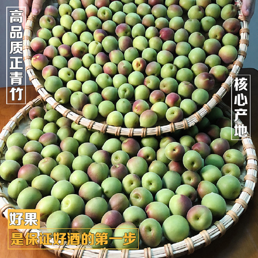 普宁市普宁青梅批发自有果园直供软枝青竹梅硬枝大粒梅量大价优可代发