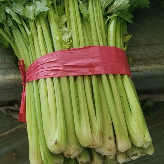 聊城万亩西芹大量供应，代发全国电商，批发市场可根据客户需求加工
