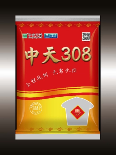 济南登海605玉米种子 中天308玉米杂交种