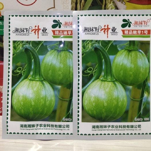 武漢迷你小南瓜種子 湘妹籽 嫩早一號小南瓜種早熟耐寒高產(chǎn) 圓西葫