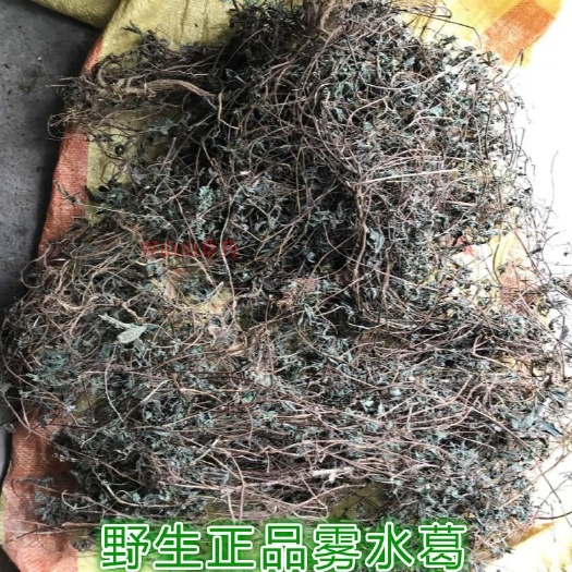 广西中草药雾水葛 糯米藤 拔脓膏草去脓草 全草干品无硫