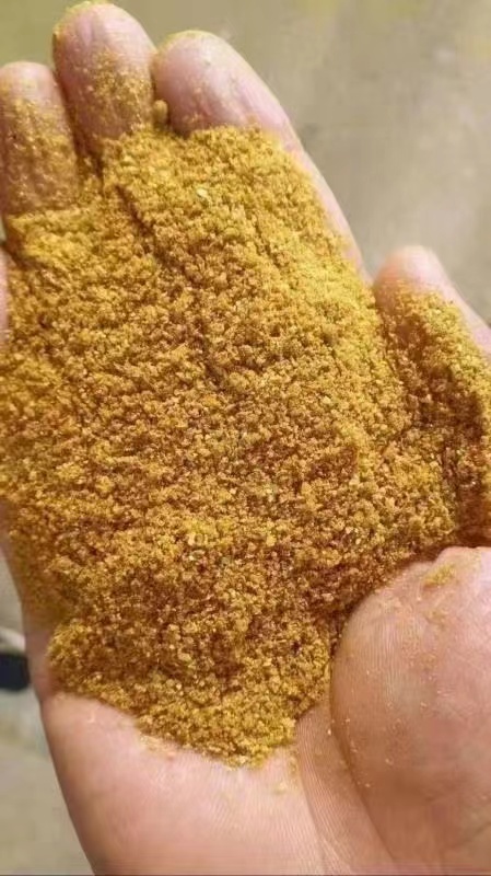 石家庄玉米酒糟ddgs  厂家直销，质量保证，长期有货