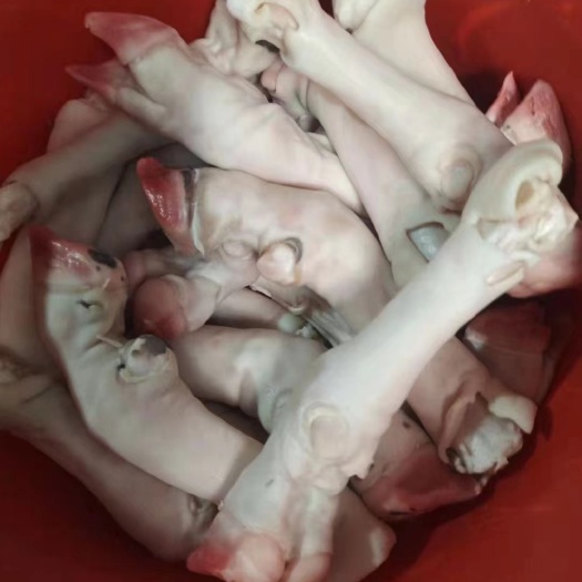郑州羊蹄