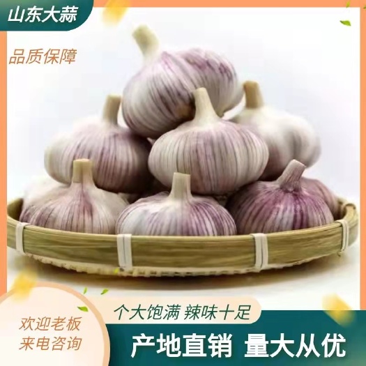 太空蒜 山东省济宁市金乡县 各种 新蒜 库内蒜红皮 白皮蒜