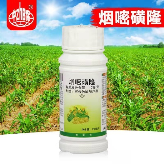 玉米田除草剂烟嘧磺隆玉米苗后专用除草剂狗尾草马齿苋一年生杂草