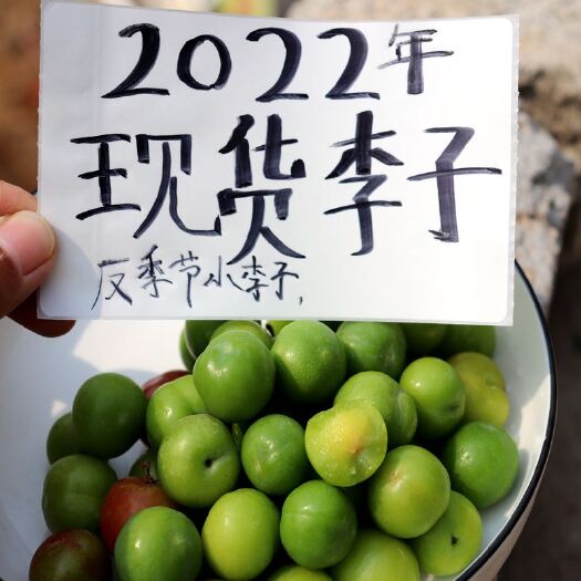 信宜市 三月李三华李早熟上市一件代发各大平台