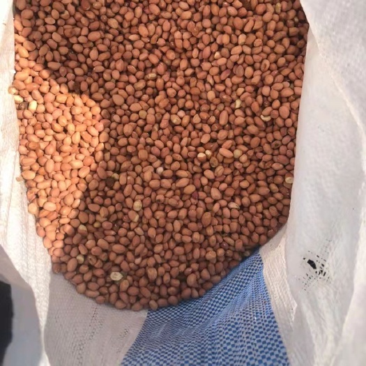 花生米 量大可谈