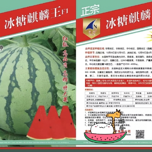 扶沟县麒麟西瓜种子  冰糖麒麟西瓜种子 冰糖麒麟F1~早熟果