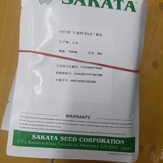 濮阳 向日葵种子