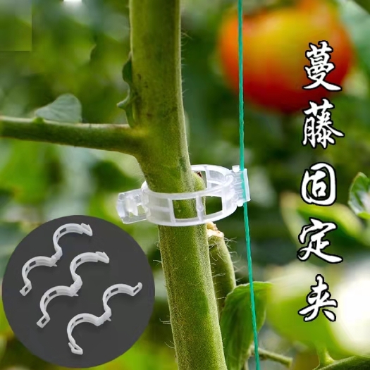 无棣县西红柿卡扣番茄吊绳卡扣夹绑蔓夹绑枝夹扶蔓夹蔬果藤蔓固定夹