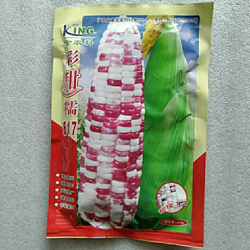 祁阳市甜玉米种子 原包装金农科彩甜糯617-627花玉米种子紫白相间200克/