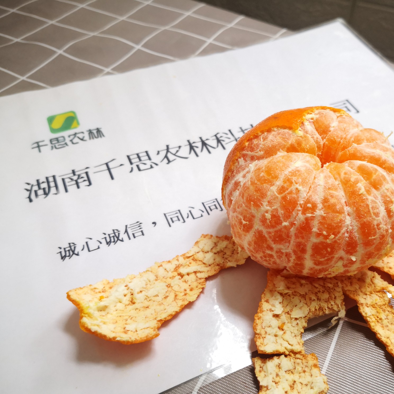 甘平柑橘苗 甘平杂柑苗 柑橘高糖无核品种 甘平属于大果型晚熟