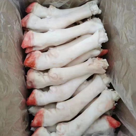 商河县优质羊蹄