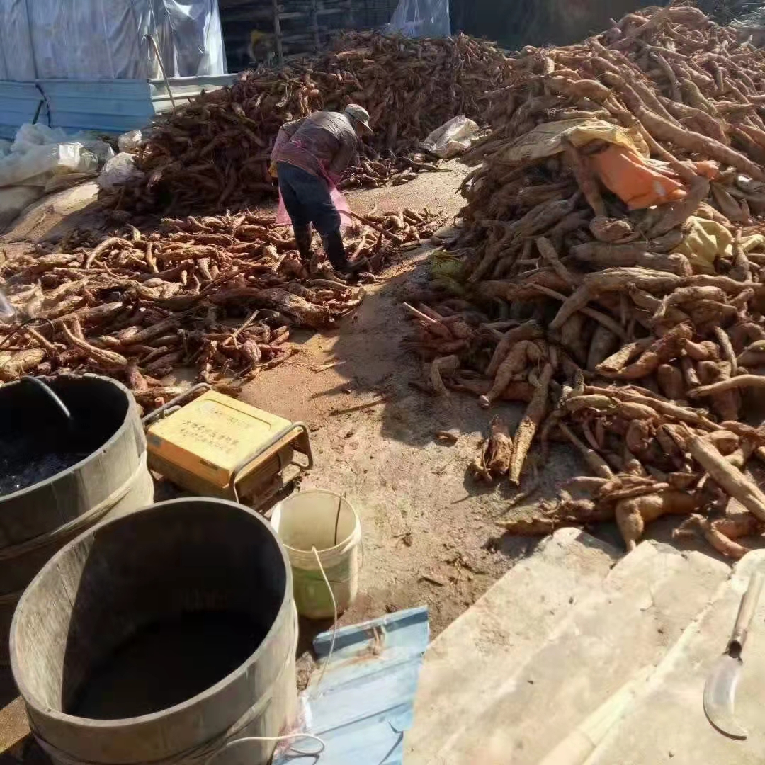 葛根粉深山葛粉湖北襄阳特产农家手工制作原味早餐代餐粉