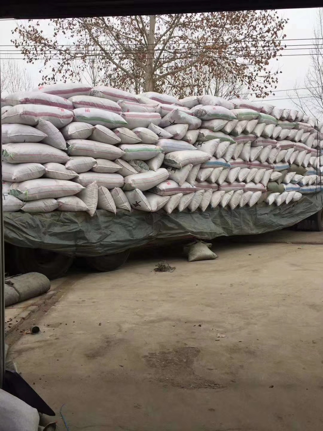 【爆品包邮】东北黑木耳单片无根肉厚口感
一箱净重60