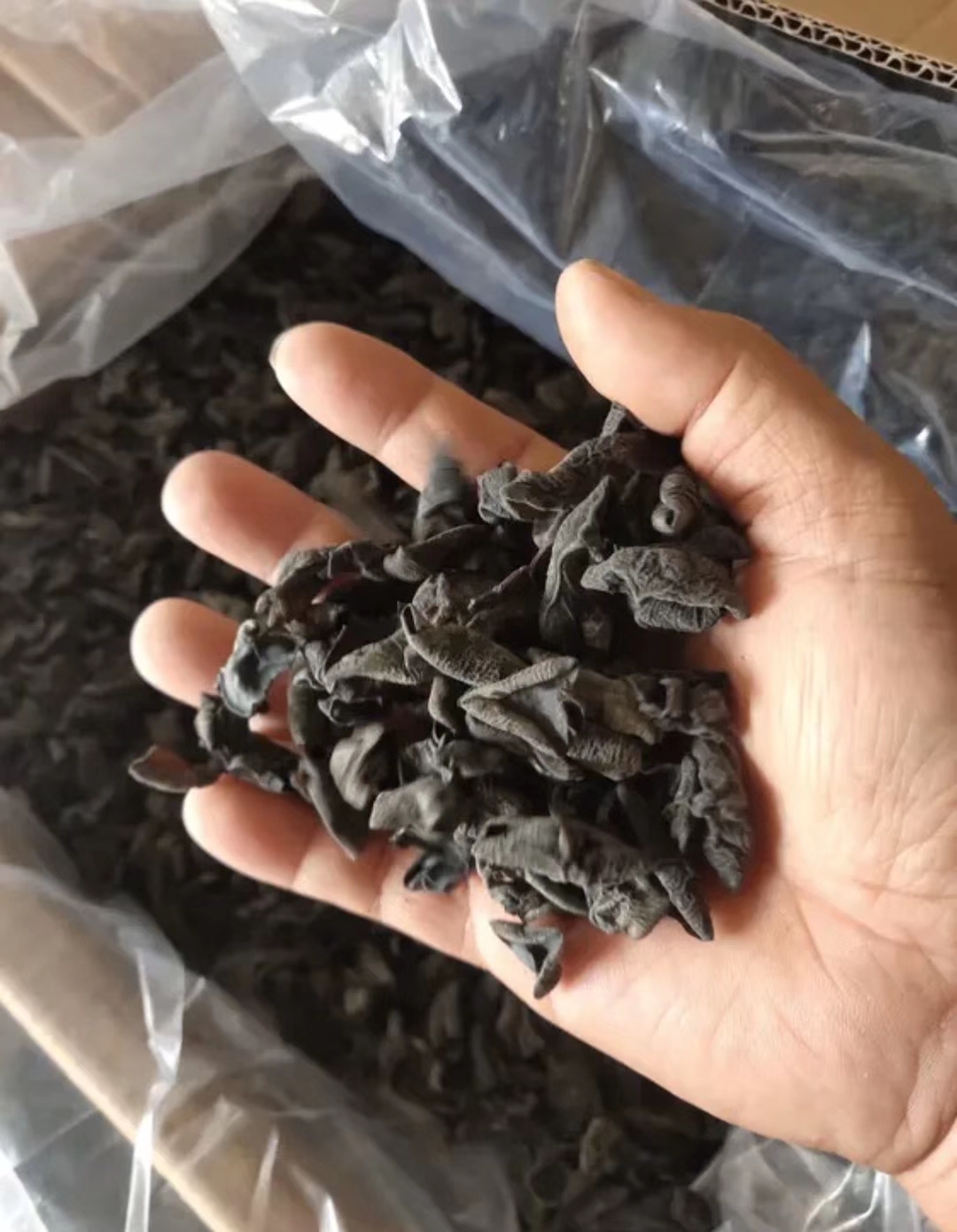 【爆品包邮】东北黑木耳单片无根肉厚口感
一箱净重60