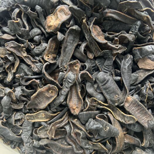 广州水蛭干中药材蚂蟥金线宽体水蛭一手货源支持线上交易