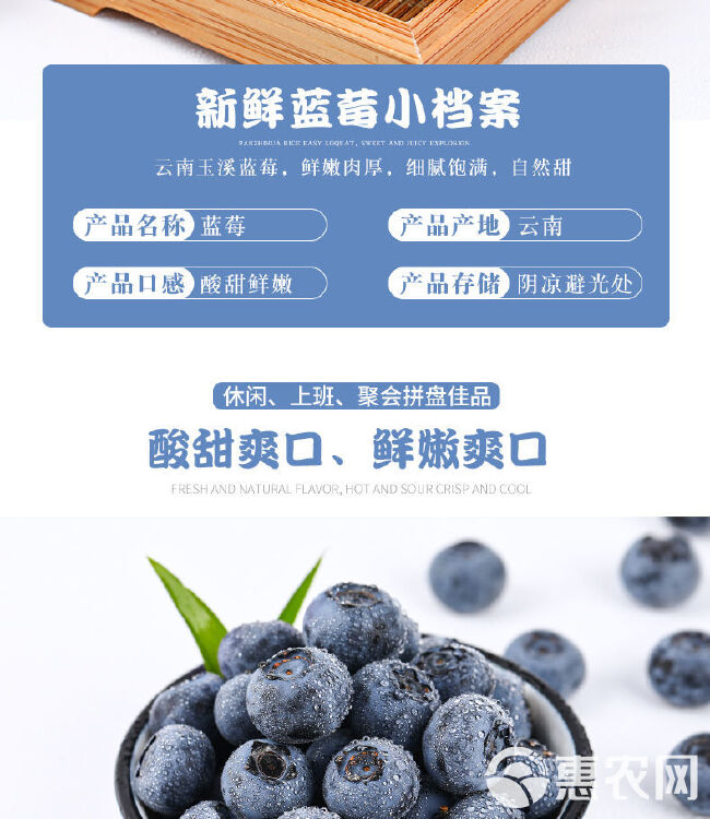 新鲜露天蓝莓品质保证，承接各大平台一件代发（顺丰空运）