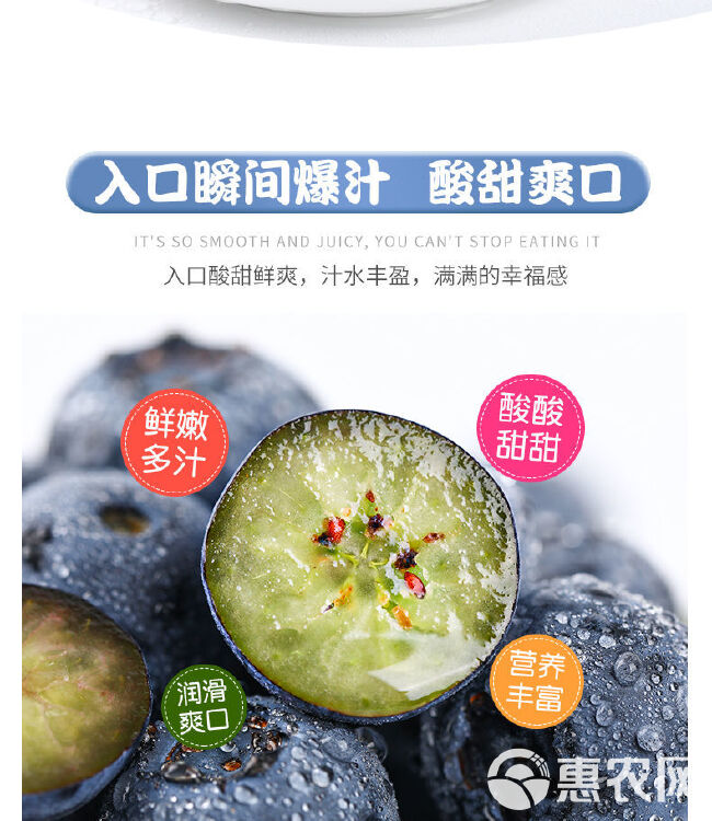 新鲜露天蓝莓品质保证，承接各大平台一件代发（顺丰空运）