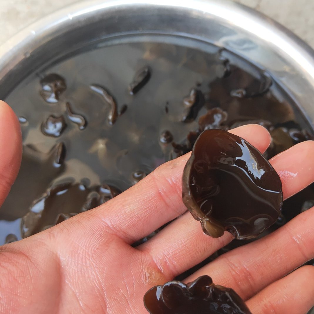 【爆品包邮】东北黑木耳单片无根肉厚口感
一箱净重60