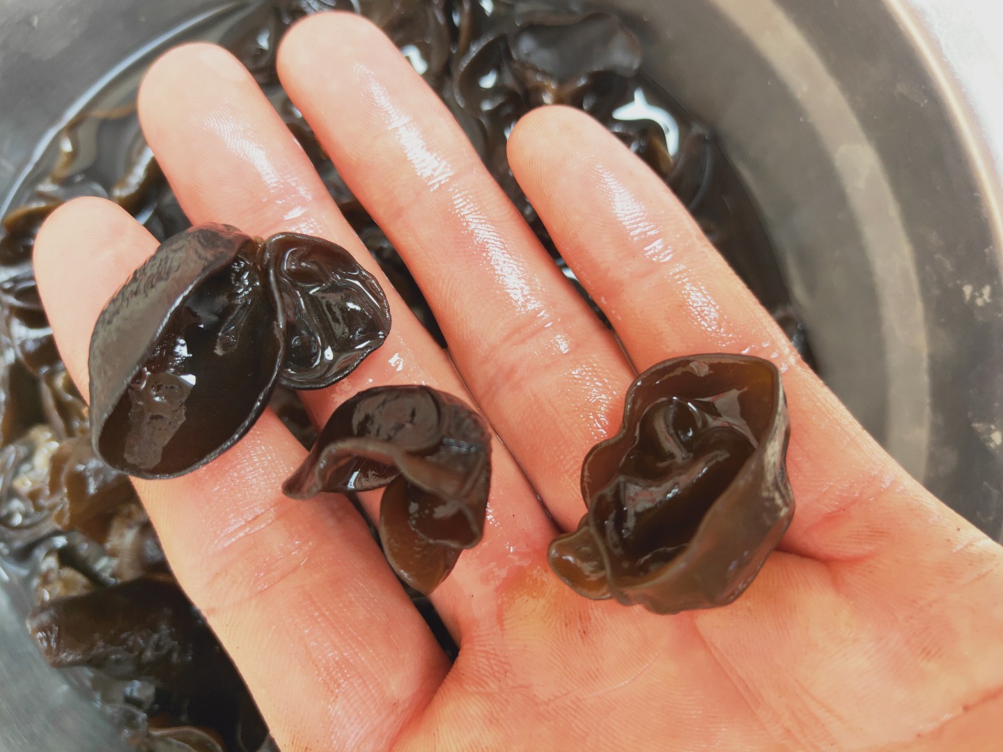 【爆品包邮】东北黑木耳单片无根肉厚口感
一箱净重60