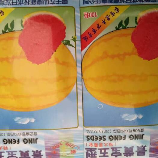 济南礼品西瓜种子～单瓜重2公斤，好看好吃甜度高
