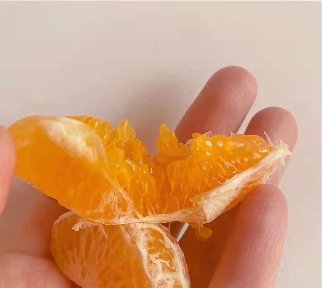 不知火  不上火 丑柑