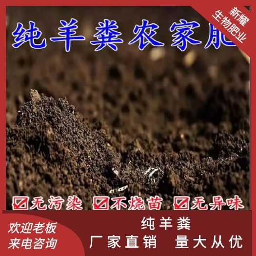 利津县本公司生产销售高温腐熟发酵纯羊粪