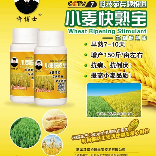 济南缓释肥 小麦增产快熟宝