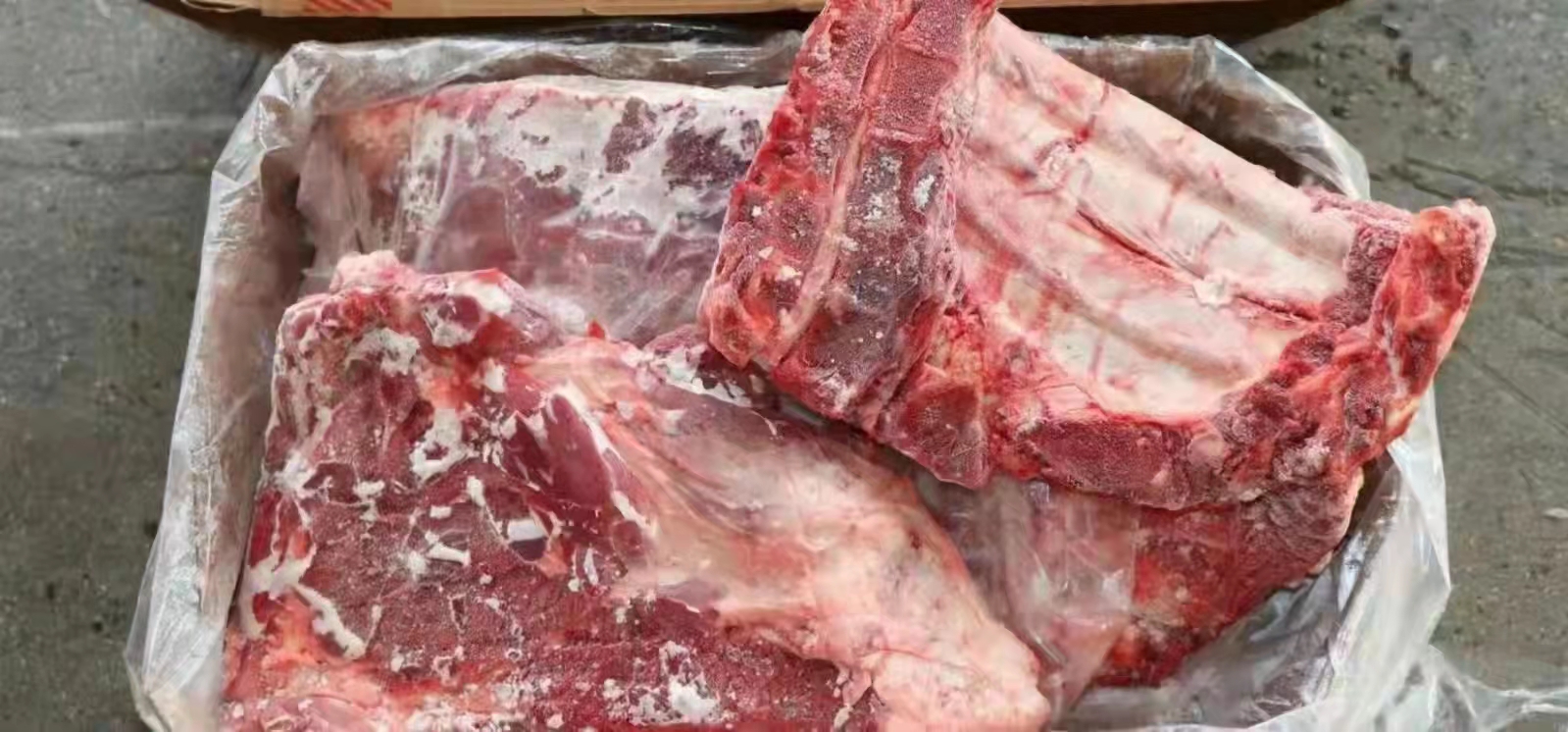 猪排骨 母猪无颈前排