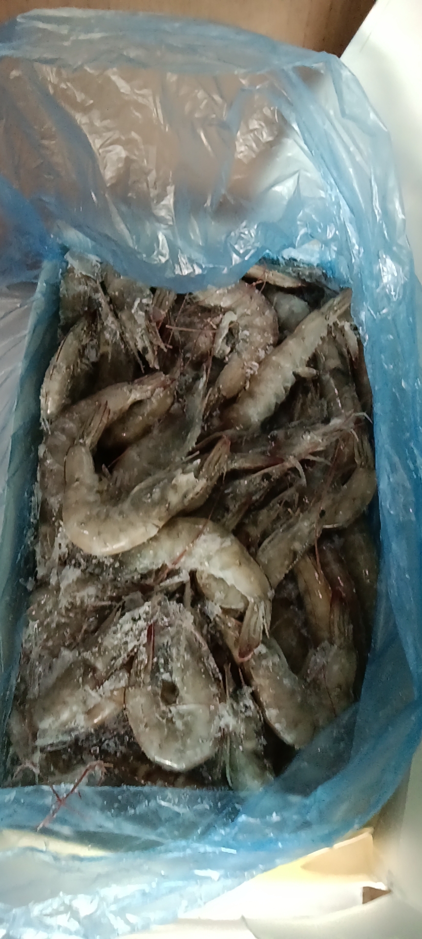 青虾 