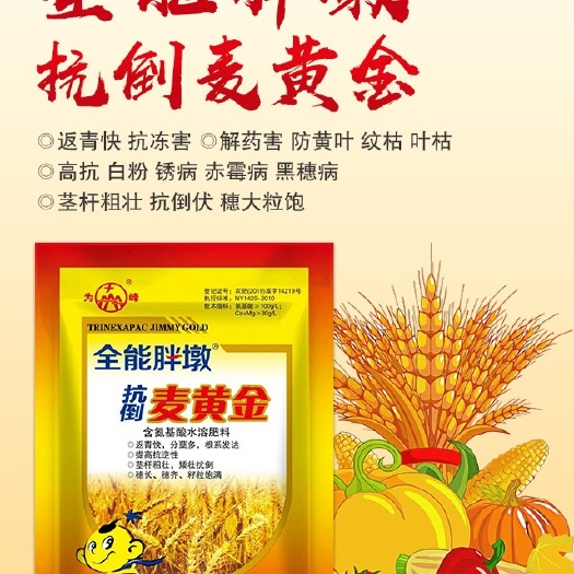 广平县小麦叶面肥 麦黄金，小麦专用