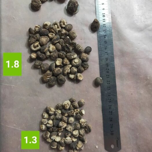 随县野生香菇 精选珍珠香菇 2.5公分小香菇丁剪脚 干货