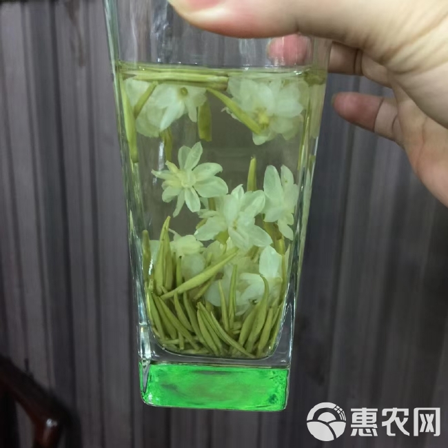 茉莉花茶 茉莉兰妃 2024新茶