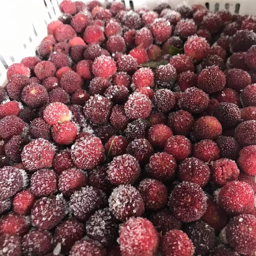 苍南县东魁杨梅 冷冻杨梅批发，品种有东魁，黑炭，早梅，整车零担发货。