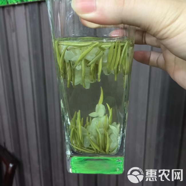 茉莉花茶 茉莉兰妃 2024新茶