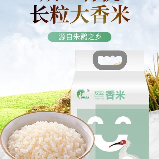 洋县 双亚香精品 周大黑新米 汉中香米 长粒米  长粒香大