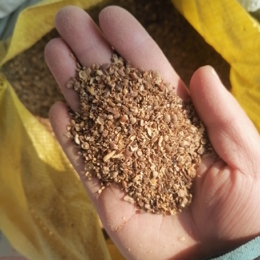 开封黄大豆 熟黄豆 上地豆 肥料豆 碳化豆